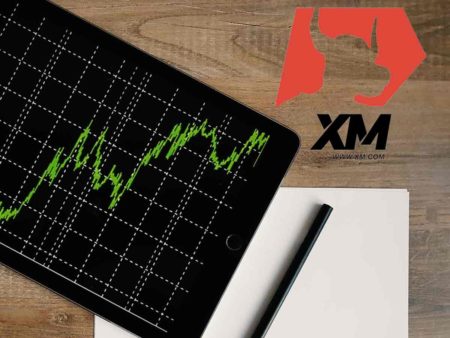 A XM.com é a Corretora de Forex Certa para Mim? Avaliação Trimestral para Brasileiros